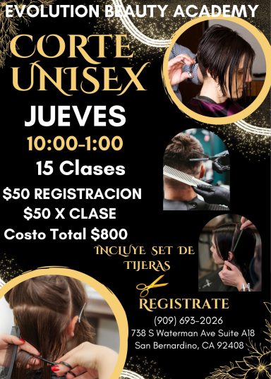 Nuestros Cursos